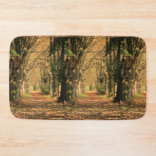 Item preview, Sunset  September Fall Forest Path Autumn vibes designed and sold by Aniyah.