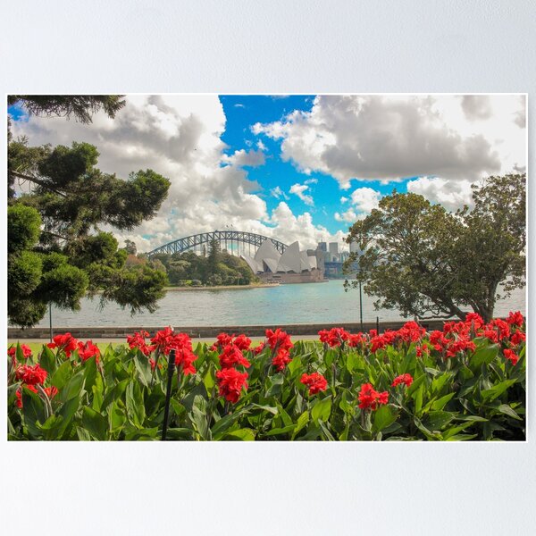 Item preview, Sydney Opera House and Harbour Bridge in Summer designed and sold by SarahStephensPh.