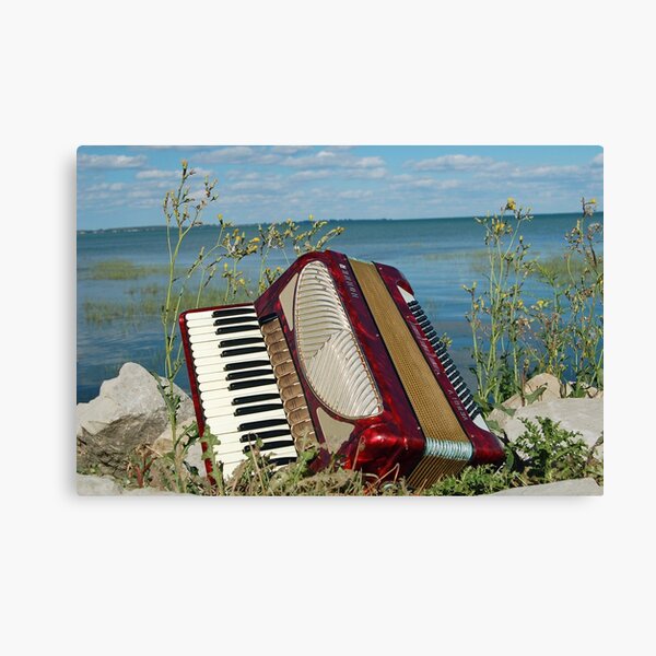 Red Accordion Canvas Print