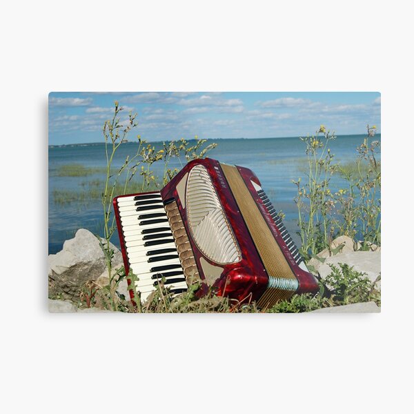 Red Accordion Metal Print