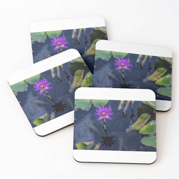 Item preview, Purple water lily taken in Sydney botanical gardens designed and sold by SarahStephensPh.