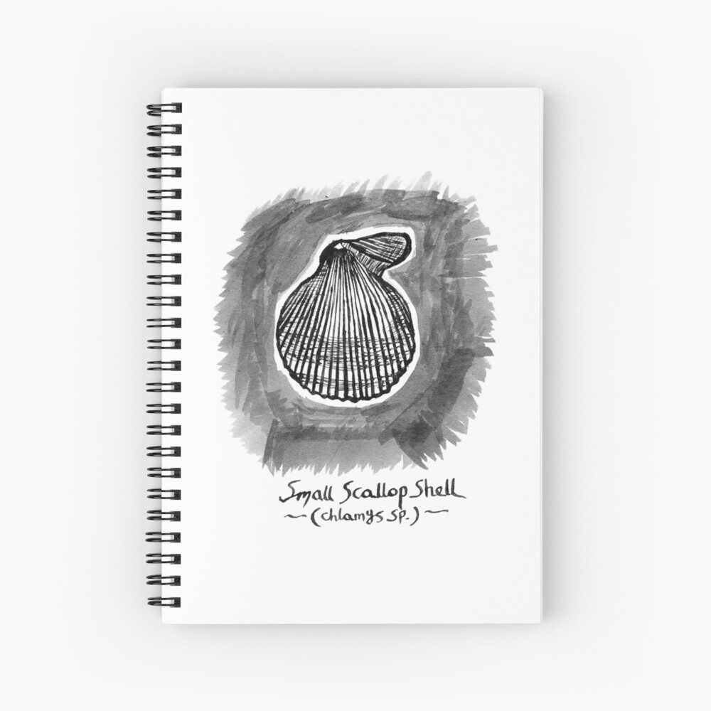 Small Scallop Shell Spiral Notebook
