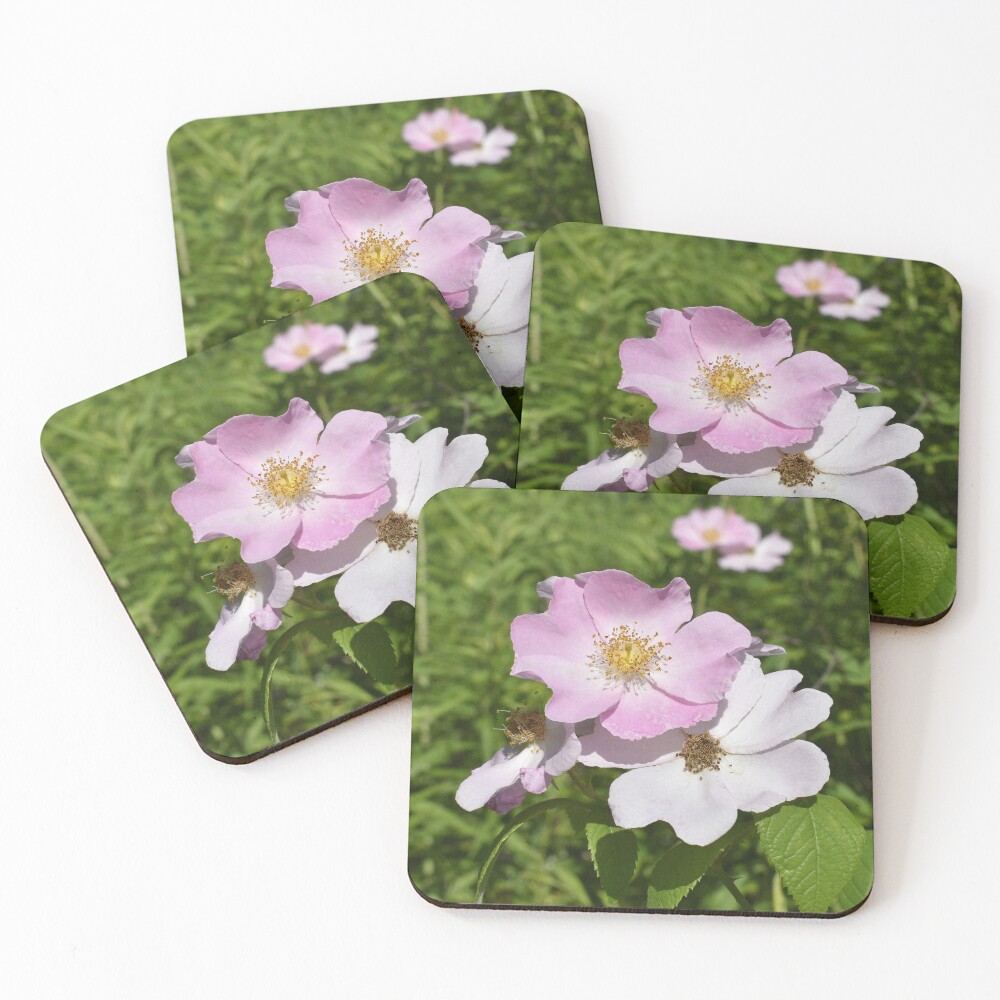 Item preview, Coasters (Set of 4) designed and sold by gurineb.