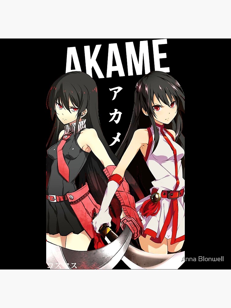 AKAME GA KILL! ZERO 02