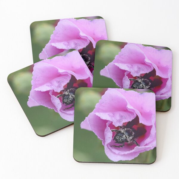 Item preview, Pollinator designed and sold by Paul Pasco.