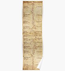 Suryanamaskar – The Sun Salutation (Portrait Format) Poster