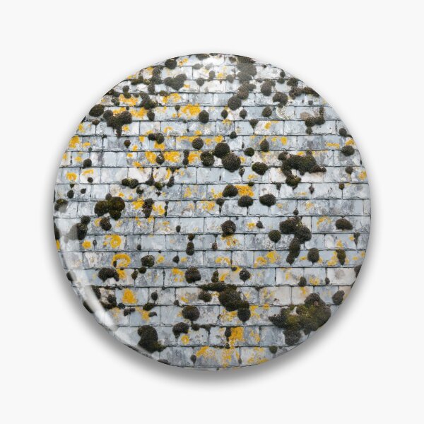 Item preview, Moss on a Slate Roof Overhead designed and sold by MarkUK97.
