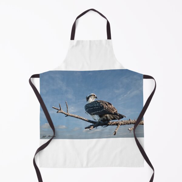 Item preview, Juvenile Osprey Perched in a Tree designed and sold by Jeff Goulden Photography.