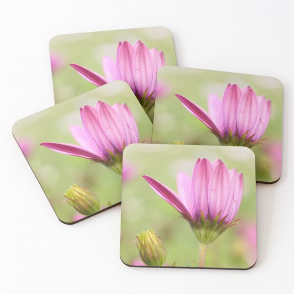 Item preview, Gazania in Pink  designed and sold by imaginethis.