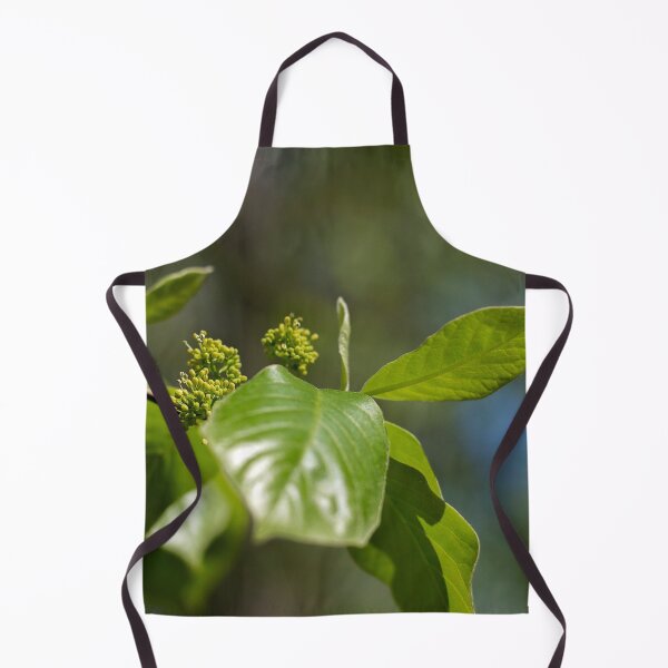 Item preview, Leaf and spray in tree designed and sold by MixinMadness.