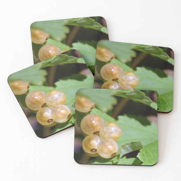 Item preview, White Currant  designed and sold by Debjaphotography.