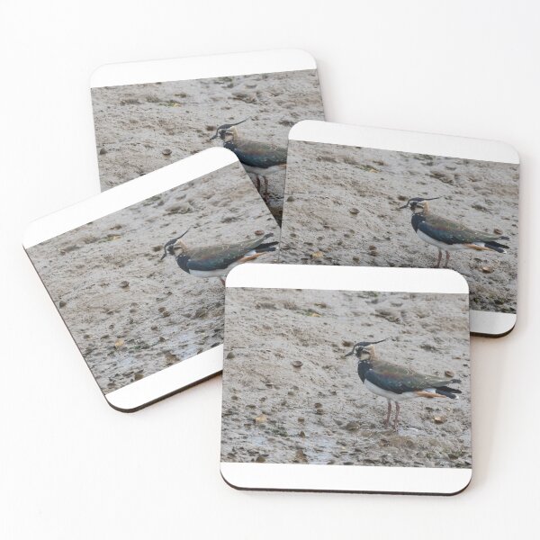 Item preview, Lapwing on the shore designed and sold by andyroberts64.