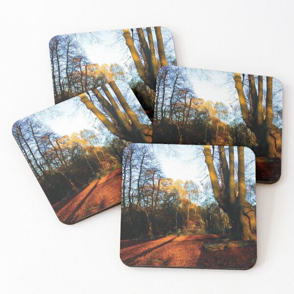 Item preview, Autumn at High Beach designed and sold by helengarvey.