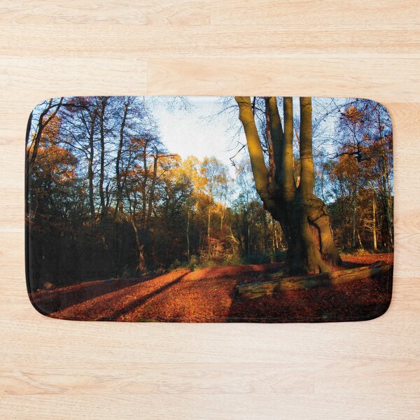 Item preview, Autumn at High Beach designed and sold by helengarvey.