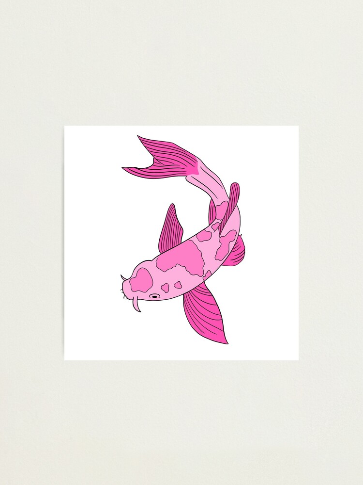 Pink Koi Fish Photographic Print for Sale by Hannah Moran