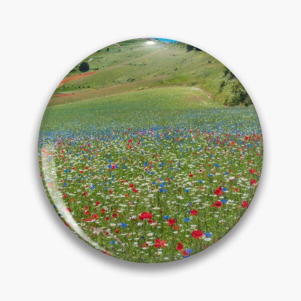 Item preview, Blooming of lentil on Castelluccio di Norcia plain designed and sold by zakaz86.