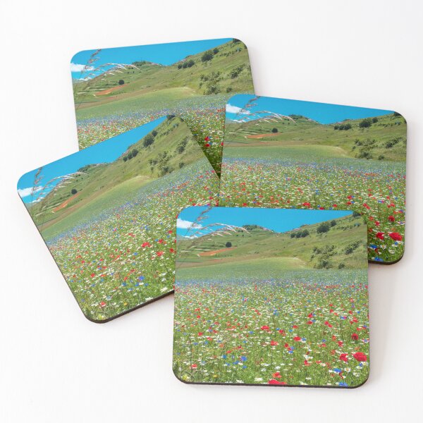 Item preview, Blooming of lentil on Castelluccio di Norcia plain designed and sold by zakaz86.