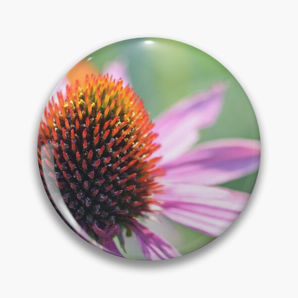 Item preview, Echinacea designed and sold by Cloudlingpics.