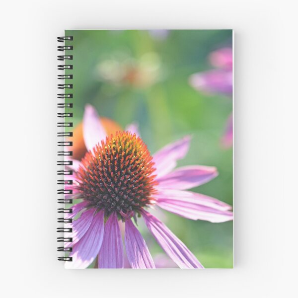 Item preview, Echinacea designed and sold by Cloudlingpics.