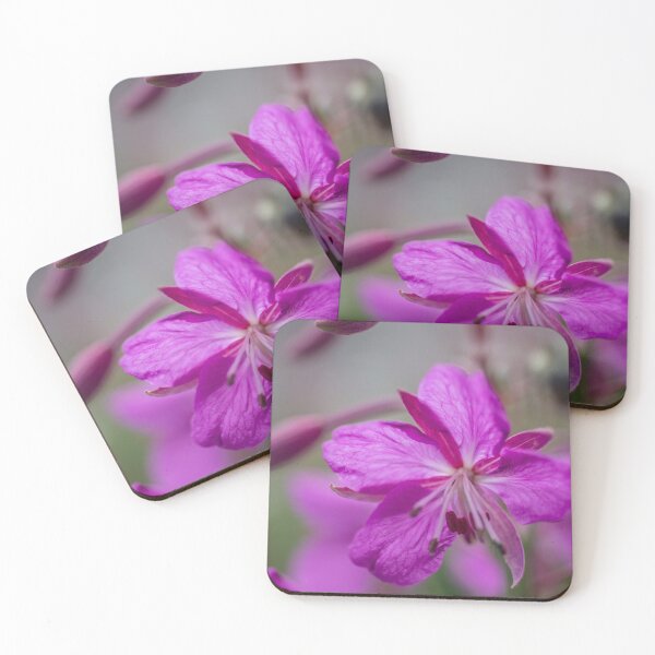 Item preview, Legumbres designed and sold by KazzaKphotos.