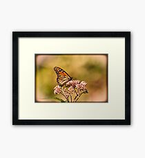 Strength And Beauty Framed Print