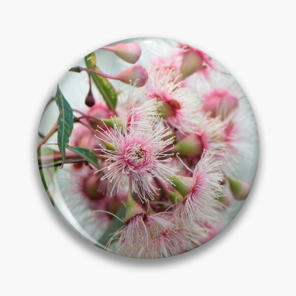 Item preview, Corymbia Fairy Floss designed and sold by Cloudlingpics.