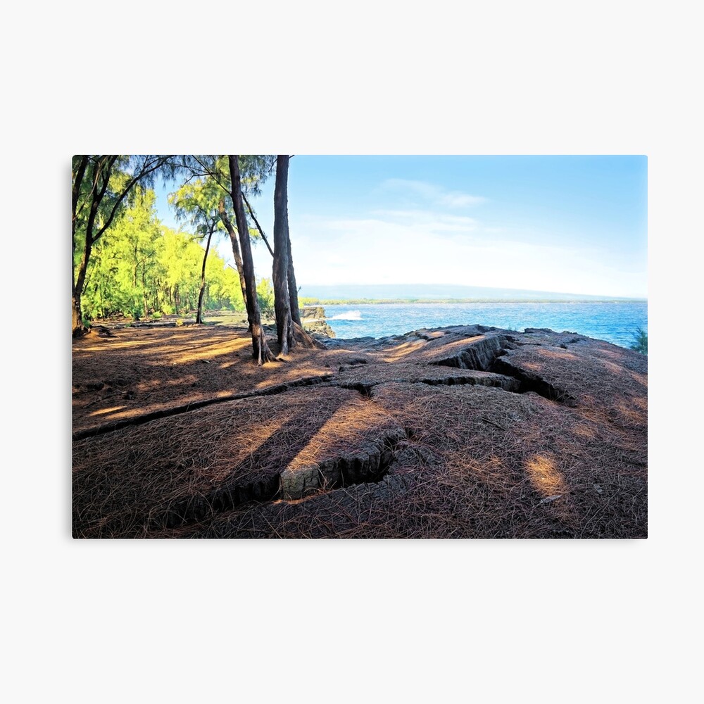 Kaloli Point 3 Canvas Print