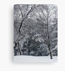 Winter Storm Canvas Print