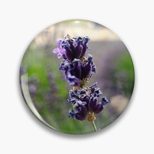Item preview, Lavender designed and sold by Picturethat1.