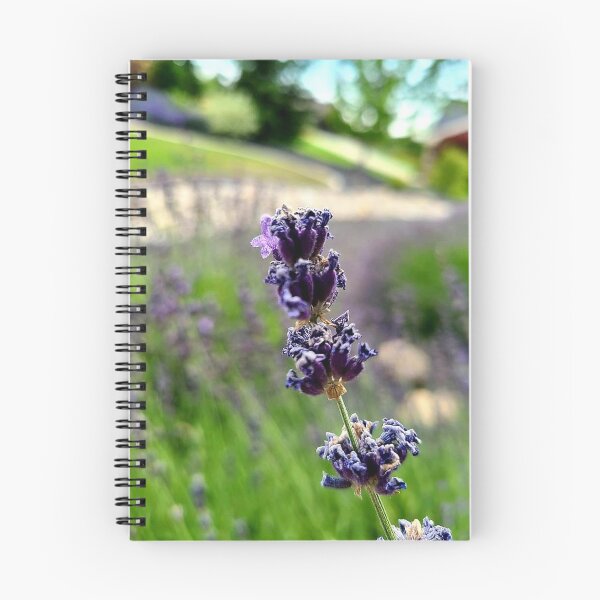 Item preview, Lavender designed and sold by Picturethat1.