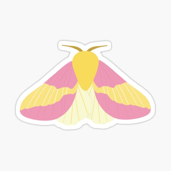 Item preview, Rosy Maple Moth designed and sold by Alysha Newton.