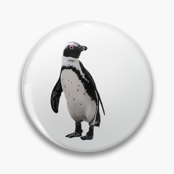 Item preview, African Penguin | Bird Collection | Arctic / Antarctic designed and sold by sharasaur.
