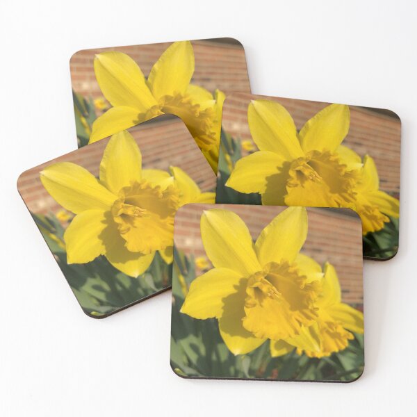 Item preview, Sunny Daffodil designed and sold by noramary21.