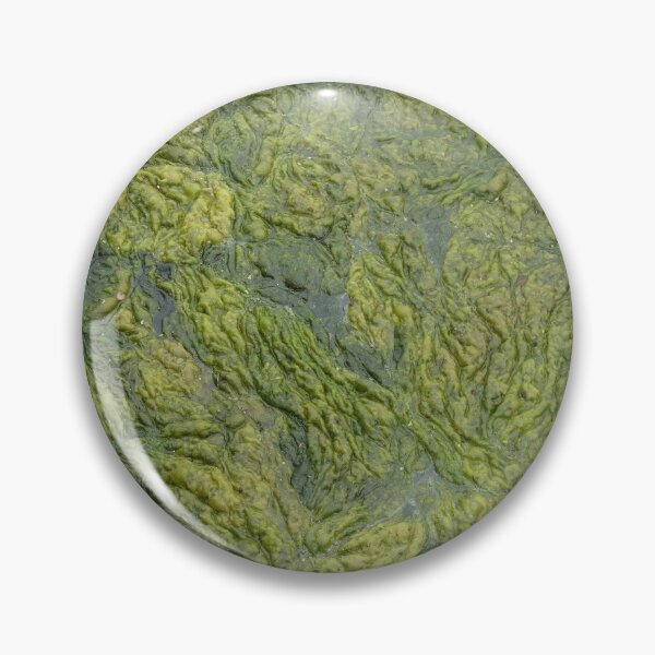 Item preview, Algae designed and sold by WonderBubbles.