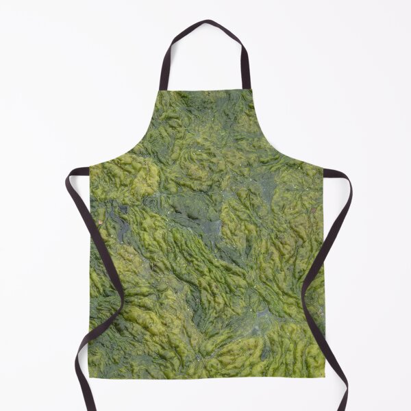 Item preview, Algae designed and sold by WonderBubbles.