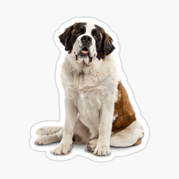 Item preview, A Patient St. Bernard designed and sold by Designs By Creation.