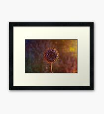 Seasonal. Framed Print