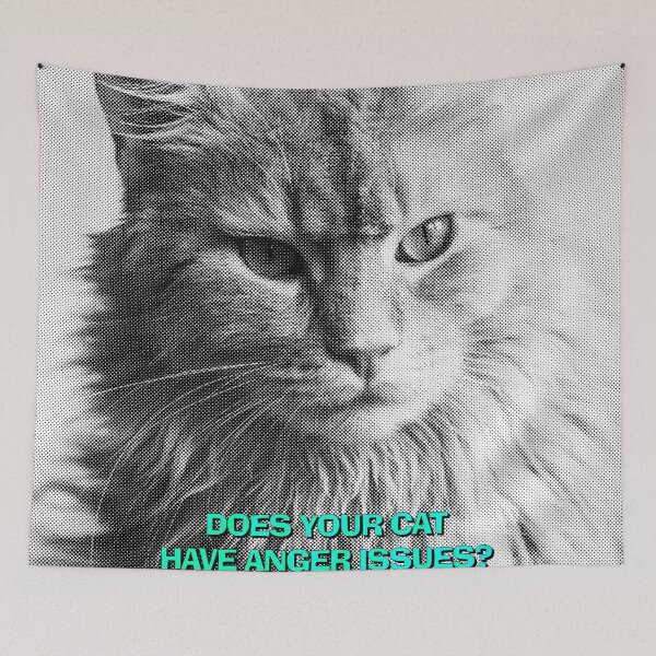 Item preview, Cat Anger issues poster designed and sold by Boxing Kangaroo Retail Company.