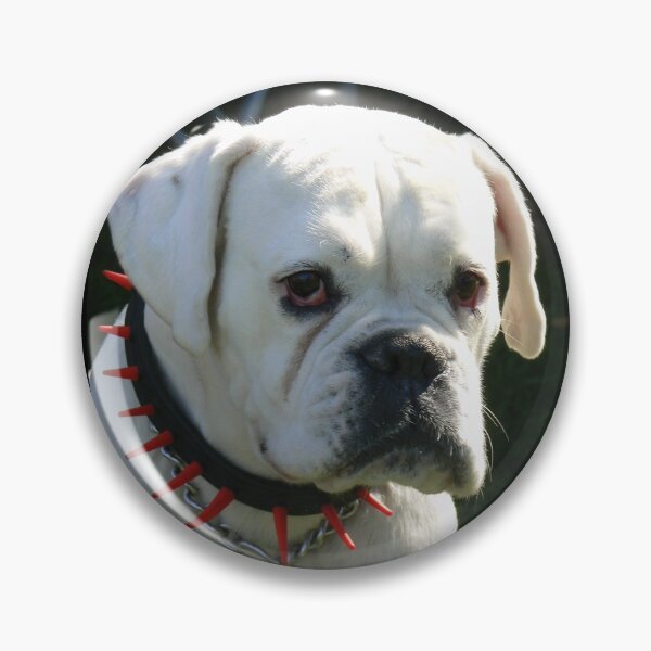 Item preview, Spike collar dog designed and sold by WonderBubbles.