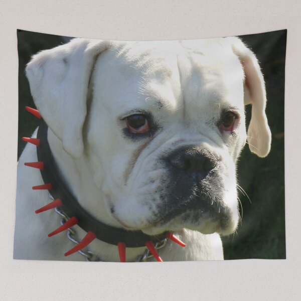Item preview, Spike collar dog designed and sold by WonderBubbles.