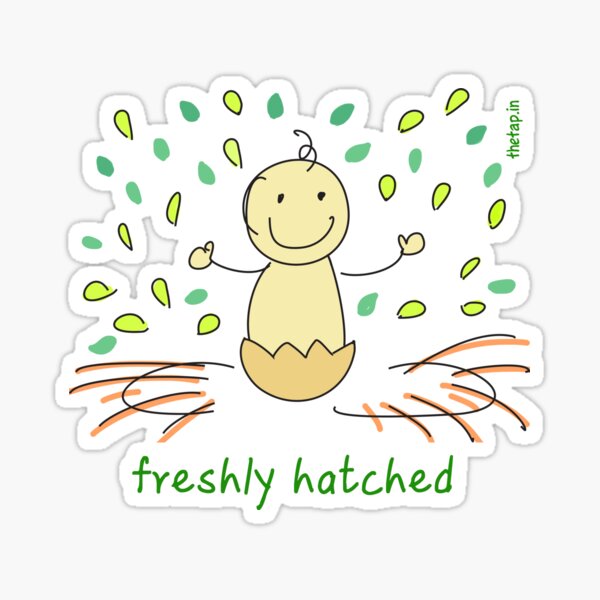 Freshly hatched baby Sticker
