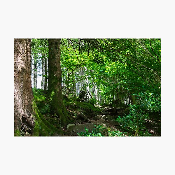 Signal Rock in Scotland Photographic Print