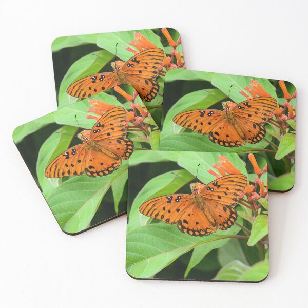 Item preview, Orange You Glad designed and sold by RewskiPhotos.