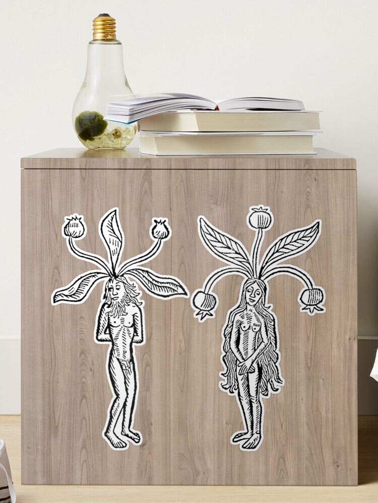 Male and Female Mandrake Woodcut - Medieval Botanical, Herbalism, Green  Witch, Plant Magic, Mandragora Mask for Sale by Sophie Curtis