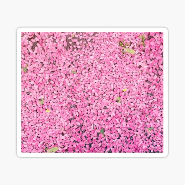 Item preview, Fallen sakura petals on the ground designed and sold by arterialmotive.