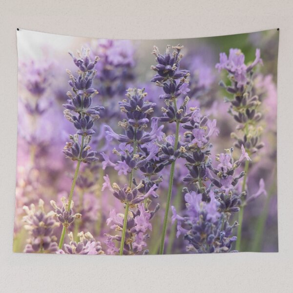 Item preview, Fresh Lavender designed and sold by Susan Rydberg.