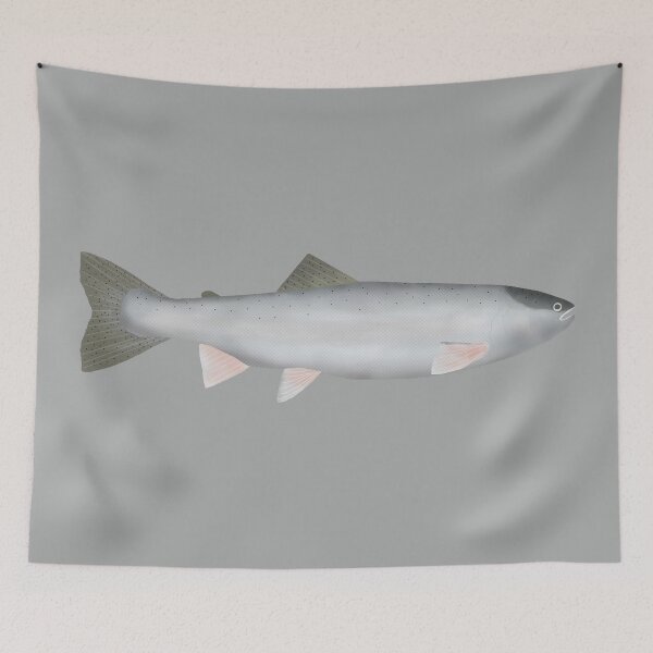 Item preview, Steelhead - Ocean Phase designed and sold by fishfolkart.