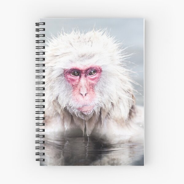 Item preview, Snow Monkey - Jigokudani Monkey Park, Japan designed and sold by jennyjones.