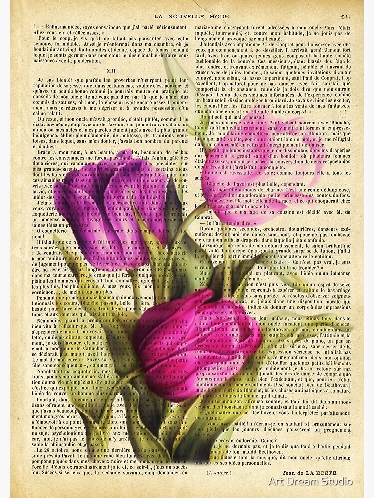 Stationery Cards  Tulip Blanche Collection