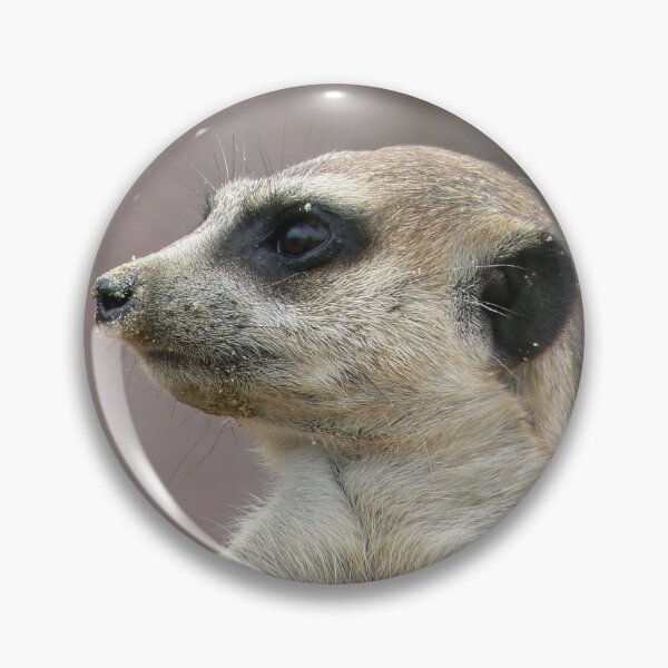 Item preview, Meercat designed and sold by WonderBubbles.